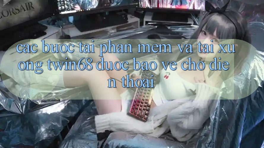 Các bước Tải Phần mềm Và Tải xuống twin68 Được bảo vệ Cho Điện Thoại Các bước Tải Phần mềm Và Tải xuống twin68 Được bảo vệ Cho Điện Thoại