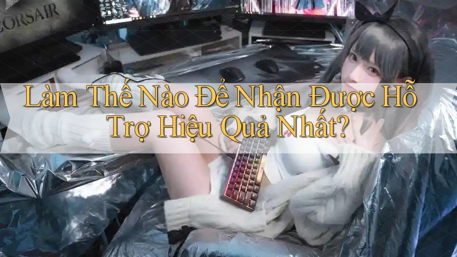 Làm Thế Nào Để Nhận Được Hỗ Trợ Hiệu Quả Nhất?