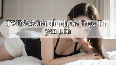 twin68  giải đấu đá gà trực tuyến lớn