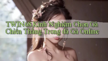 twin68  kinh nghiệm chọn gà chiến thắng trong đá gà online