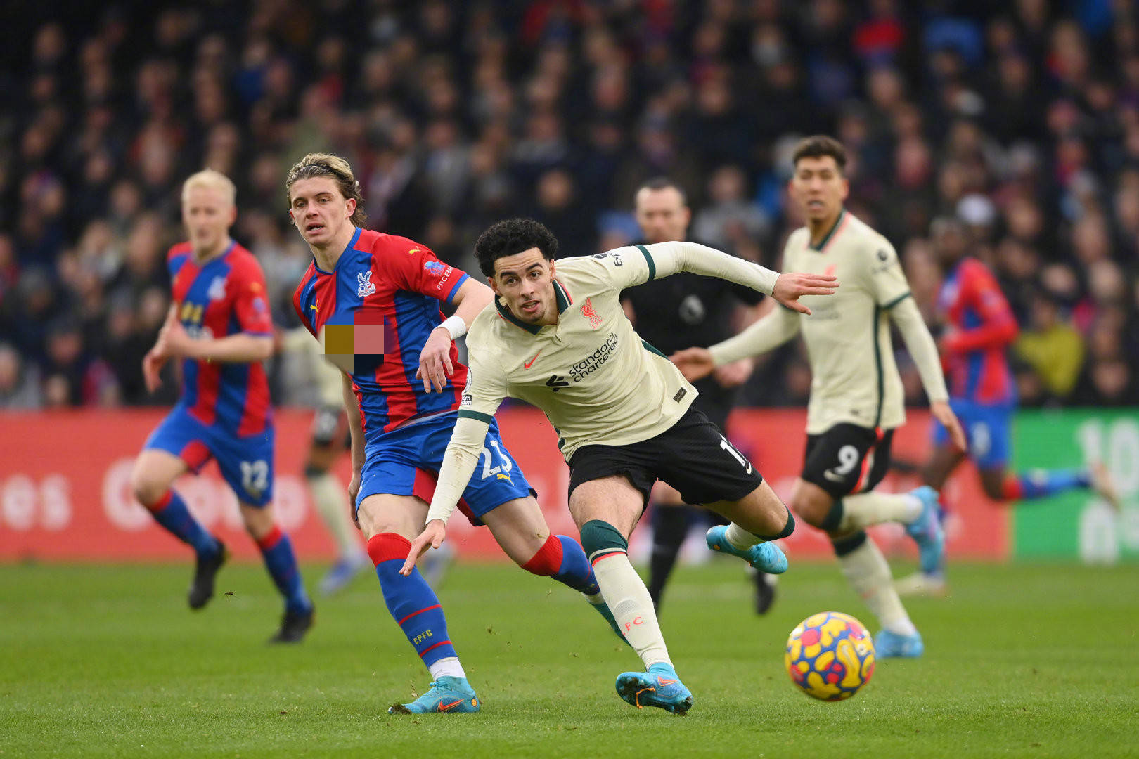 现场观战 现场观战